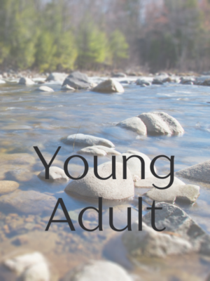 Young Adult Book Club